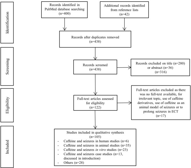 How Much Caffeine Causes Seizures?