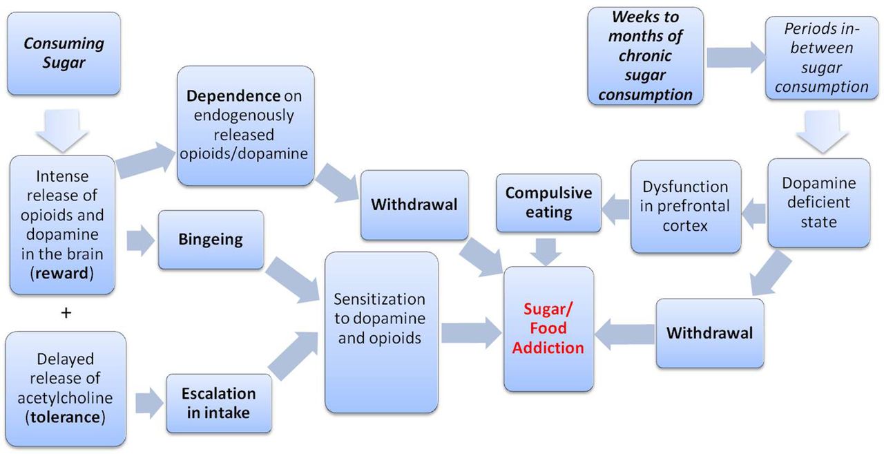 Understanding the Science Behind Sugar Addiction